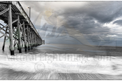 Pano-Oak-Island2025WEB